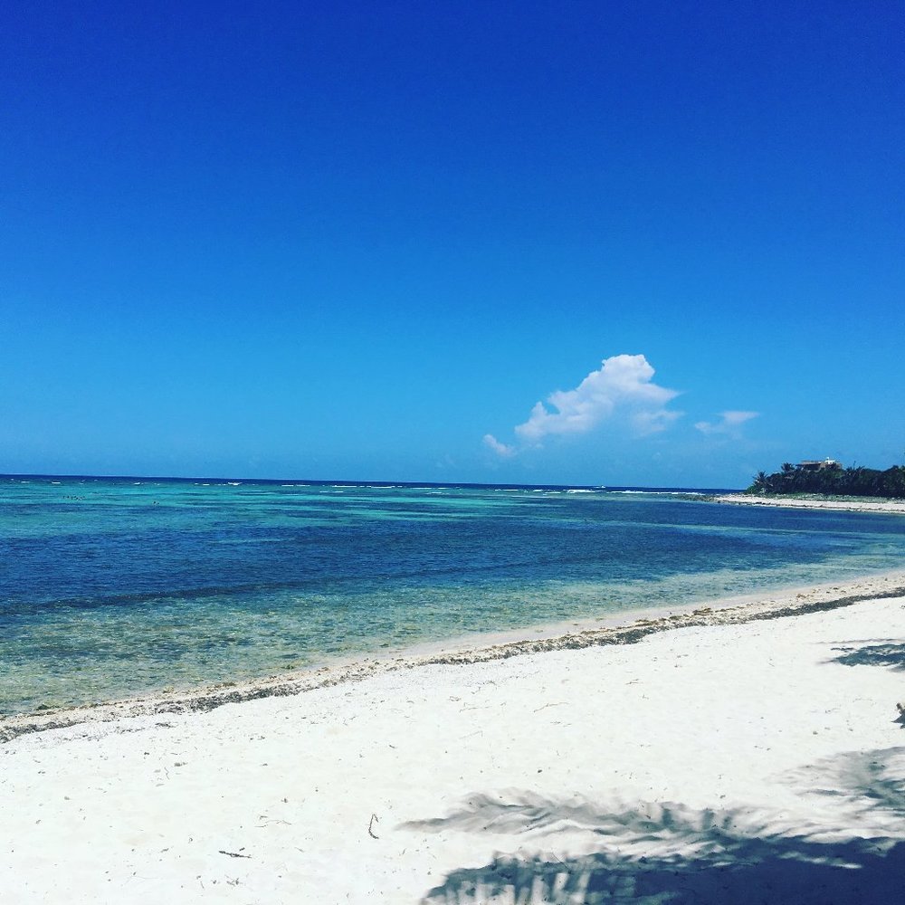 Meet your Posher, jleigh